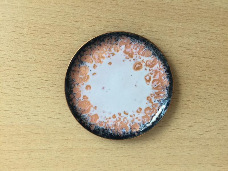 Bild "IMG_5251.jpeg"