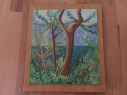 Bild "IMG_5132.jpeg"