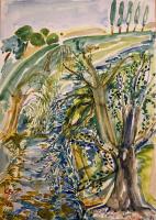 Bild "IMG_1130.jpeg"