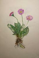 Bild "IMG_1134.jpeg"