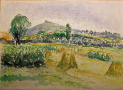 Bild "IMG_1135.jpeg"