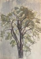 Bild "IMG_1146.jpeg"