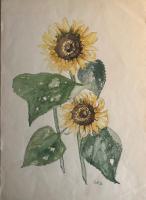 Bild "IMG_1150.jpeg"