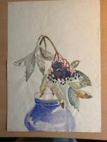 Bild "IMG_1151.jpeg"