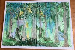 Bild "IMG_0163.jpeg"